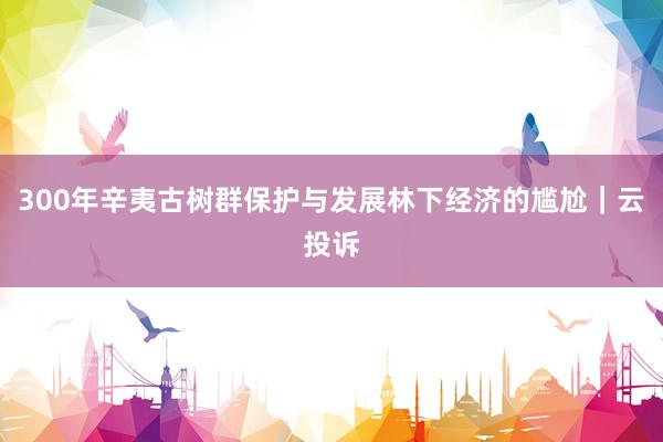 300年辛夷古树群保护与发展林下经济的尴尬｜云投诉