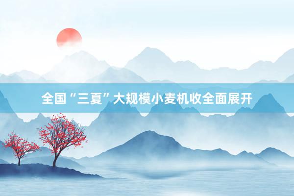 全国“三夏”大规模小麦机收全面展开