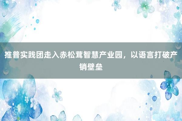 推普实践团走入赤松茸智慧产业园，以语言打破产销壁垒