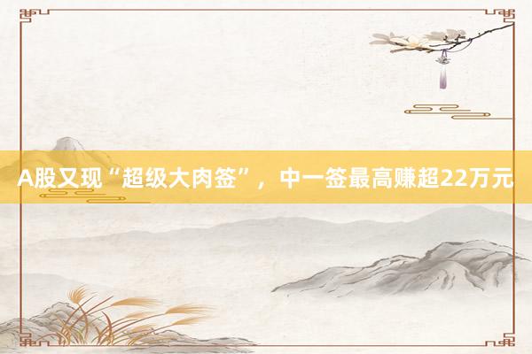 A股又现“超级大肉签”，中一签最高赚超22万元
