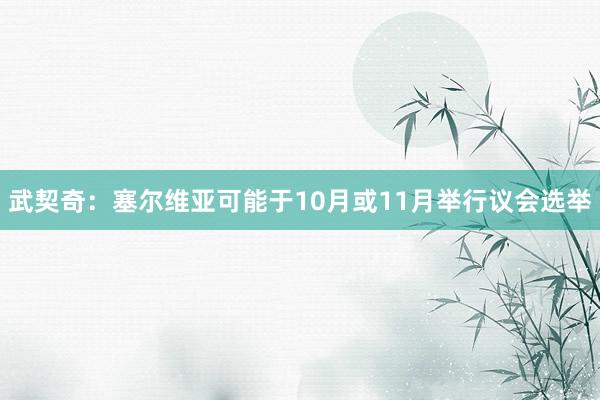 武契奇：塞尔维亚可能于10月或11月举行议会选举