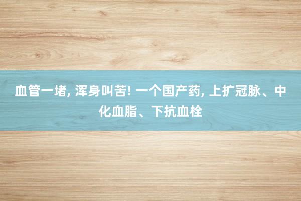 血管一堵, 浑身叫苦! 一个国产药, 上扩冠脉、中化血脂、下抗血栓