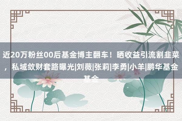 近20万粉丝00后基金博主翻车！晒收益引流割韭菜，私域敛财套路曝光|刘薇|张莉|李勇|小羊|鹏华基金