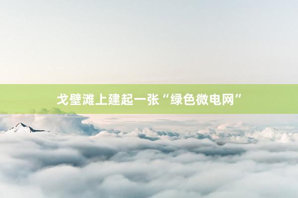 戈壁滩上建起一张“绿色微电网”