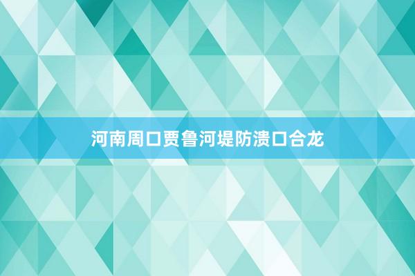 河南周口贾鲁河堤防溃口合龙