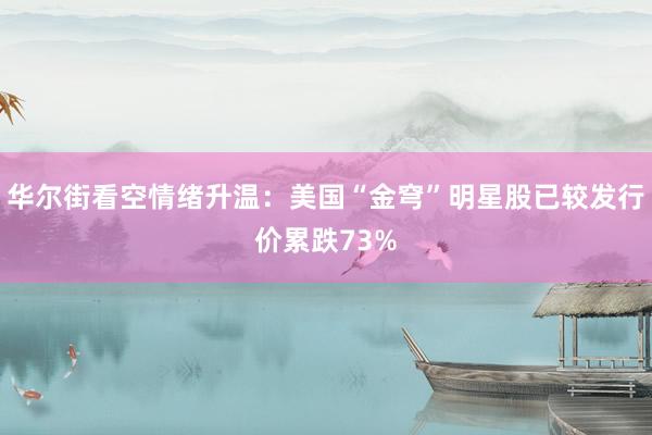 华尔街看空情绪升温：美国“金穹”明星股已较发行价累跌73%