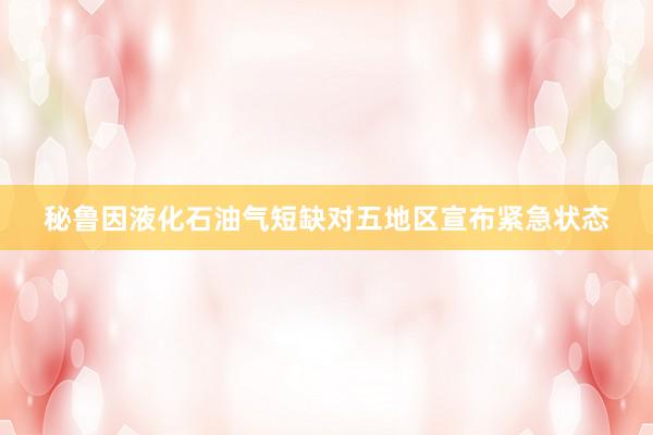 秘鲁因液化石油气短缺对五地区宣布紧急状态