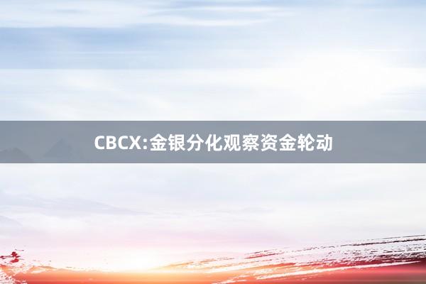 CBCX:金银分化观察资金轮动