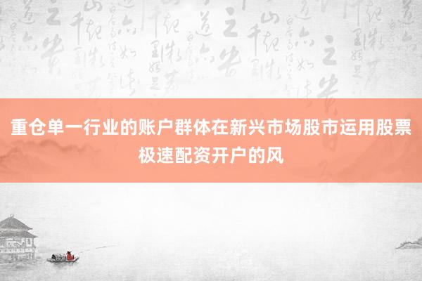 重仓单一行业的账户群体在新兴市场股市运用股票极速配资开户的风