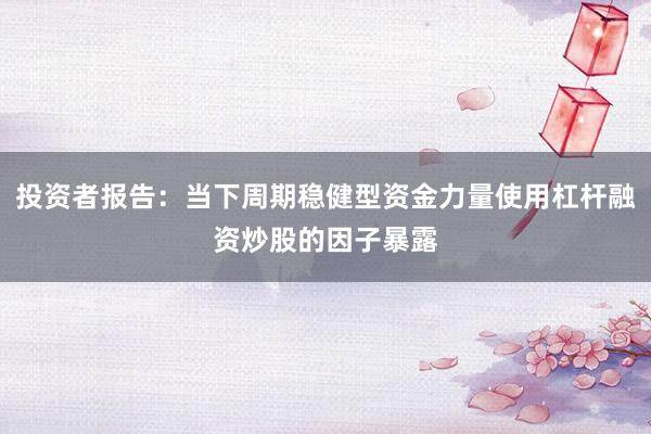 投资者报告：当下周期稳健型资金力量使用杠杆融资炒股的因子暴露