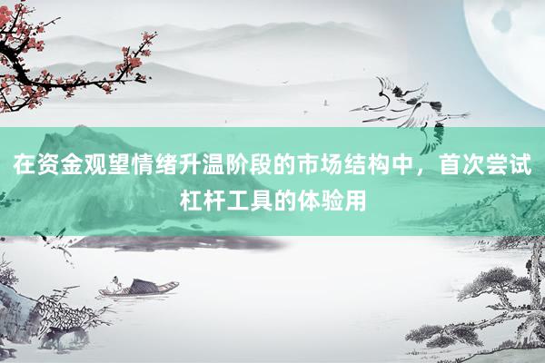 在资金观望情绪升温阶段的市场结构中，首次尝试杠杆工具的体验用