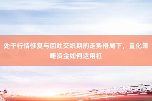 处于行情修复与回吐交织期的走势格局下，量化策略资金如何运用杠