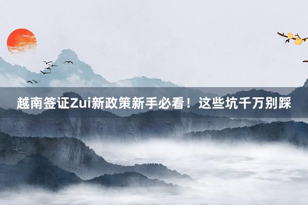 越南签证Zui新政策新手必看！这些坑千万别踩