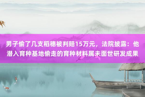 男子偷了几支稻穗被判赔15万元，法院披露：他潜入育种基地偷走的育种材料属未面世研发成果