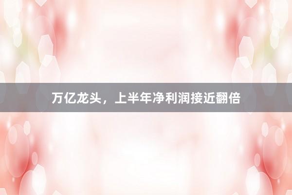 万亿龙头，上半年净利润接近翻倍