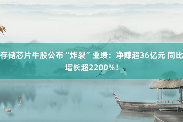 存储芯片牛股公布“炸裂”业绩：净赚超36亿元 同比增长超2200%！