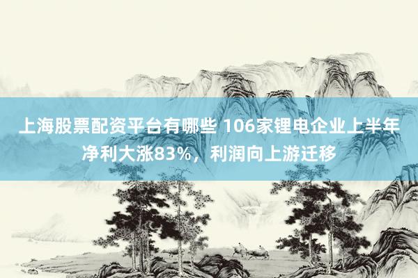 上海股票配资平台有哪些 106家锂电企业上半年净利大涨83%，利润向上游迁移