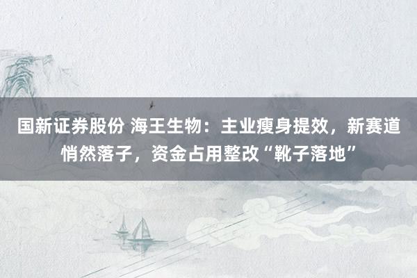 国新证券股份 海王生物：主业瘦身提效，新赛道悄然落子，资金占用整改“靴子落地”