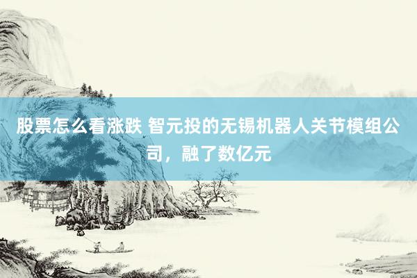 股票怎么看涨跌 智元投的无锡机器人关节模组公司，融了数亿元