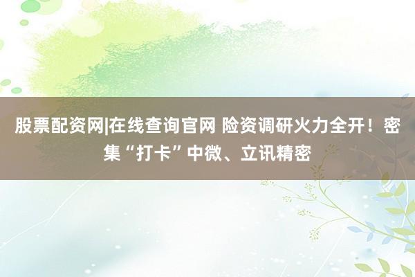 股票配资网|在线查询官网 险资调研火力全开！密集“打卡”中微、立讯精密