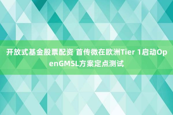 开放式基金股票配资 首传微在欧洲Tier 1启动OpenGMSL方案定点测试
