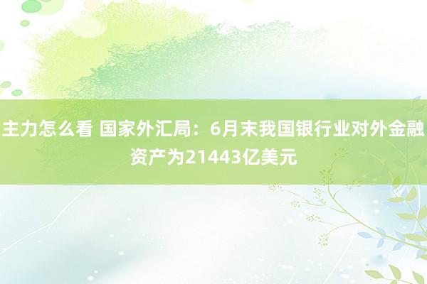 主力怎么看 国家外汇局：6月末我国银行业对外金融资产为21443亿美元